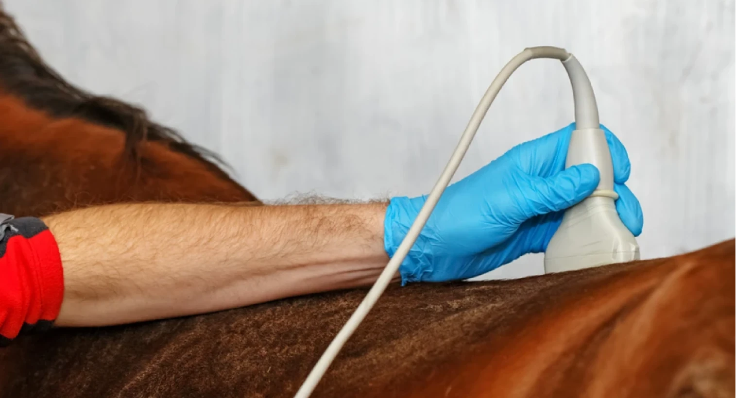 Poly Med Solutions Echographe Samsung Le Mans Notre Galerie Photos 07 1