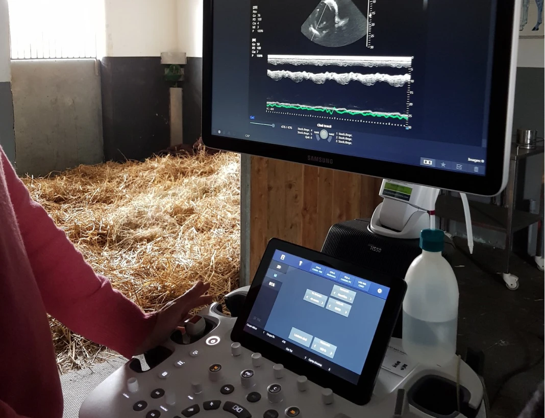 Poly Med Solutions Echographe Samsung Le Mans POLY MED SOLUTIONS Echographe Veterinaire Au Mans 1